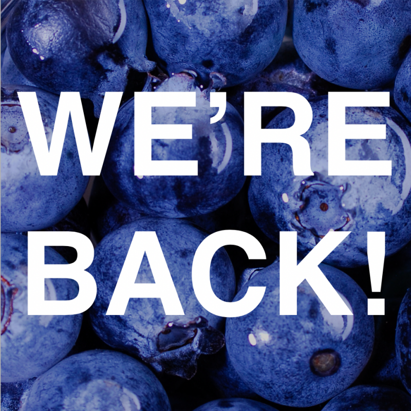 Blue Hawaii Lifestyle